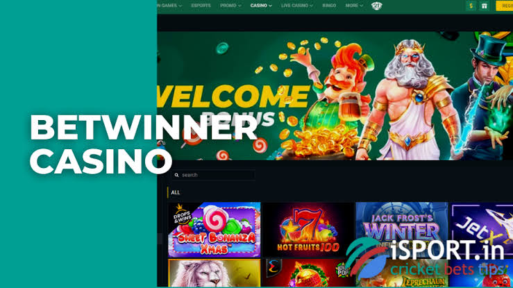 BetWinner Gambling Platform A Comprehensive Review