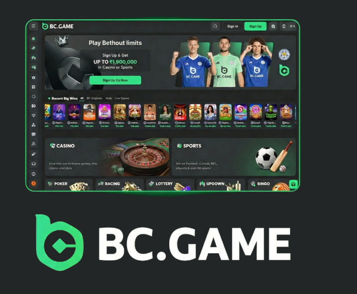 Maximize Your Wins with BC.Game Promo Codes and Bonuses